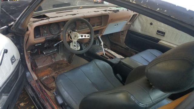 1980 Pontiac Firebird Espirit - photo 5