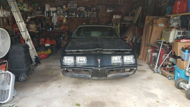 1980 Pontiac Firebird Espirit - photo 8