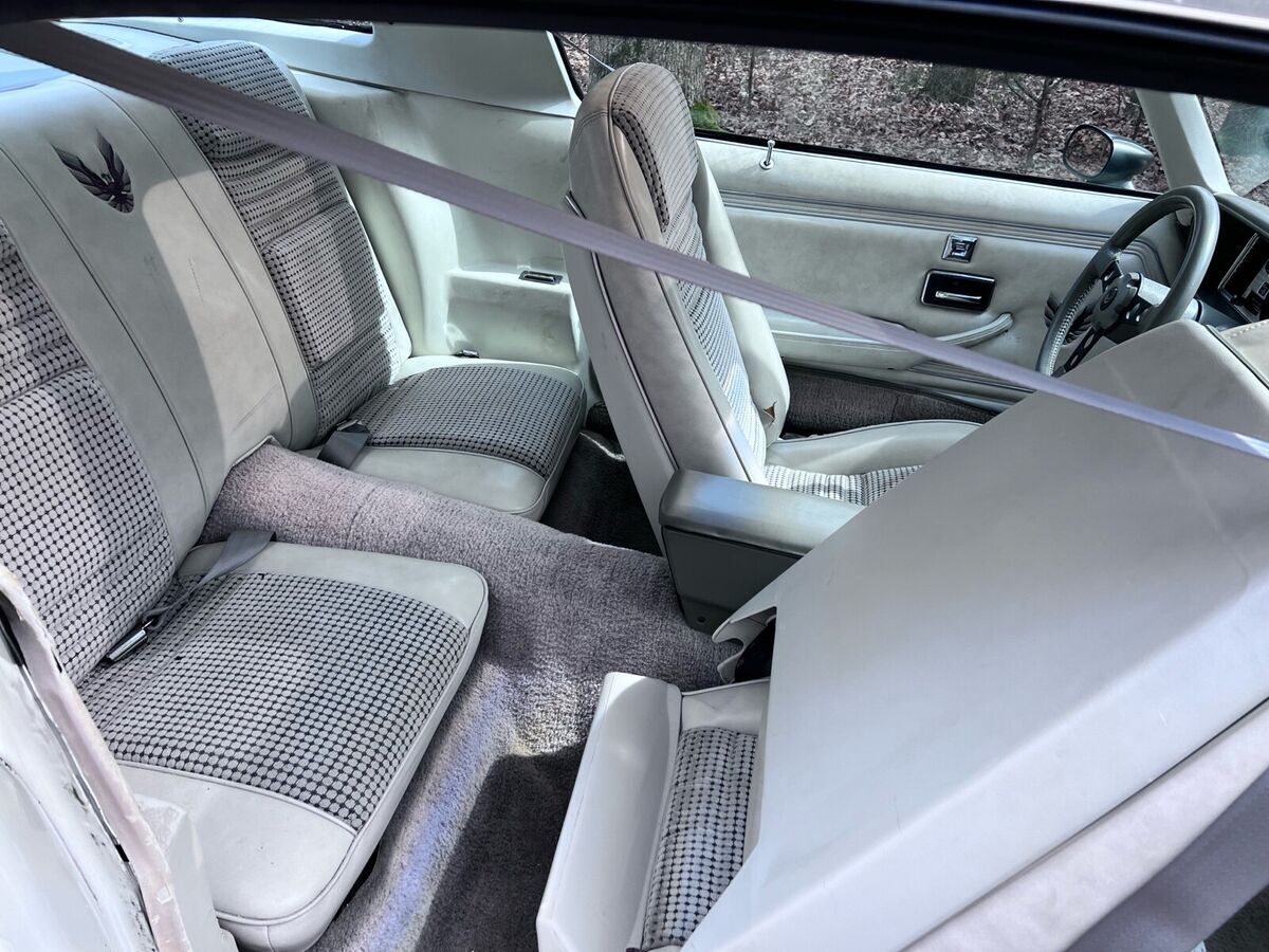 1980 Pontiac Firebird Indy 500 Pace Car Edition - photo 13