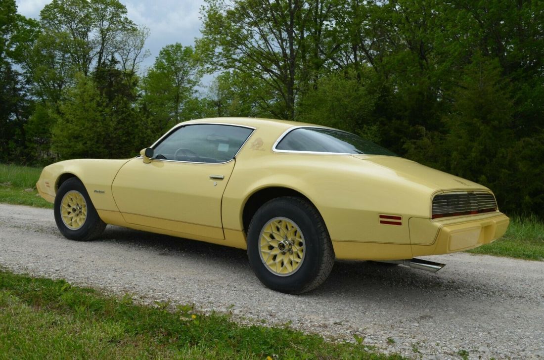 1980 Pontiac Firebird Yellow bird - photo 3
