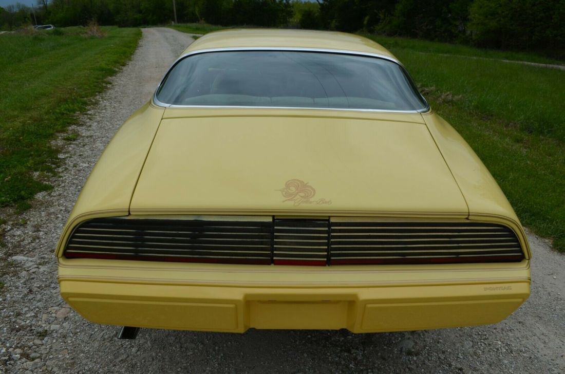 1980 Pontiac Firebird Yellow bird - photo 4