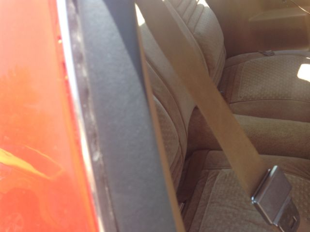 1980 Pontiac Firebird - photo 11