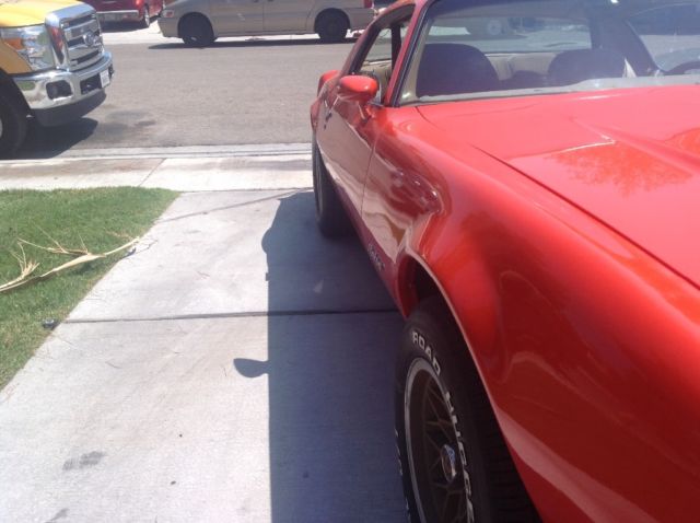 1980 Pontiac Firebird - photo 3