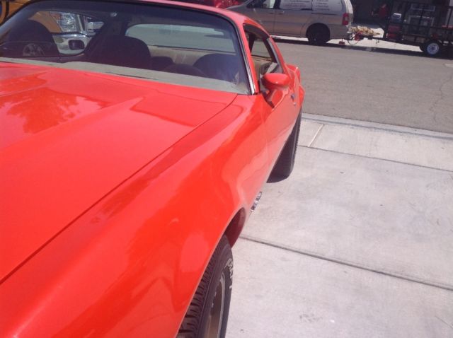 1980 Pontiac Firebird - photo 4