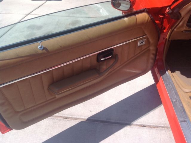 1980 Pontiac Firebird - photo 8