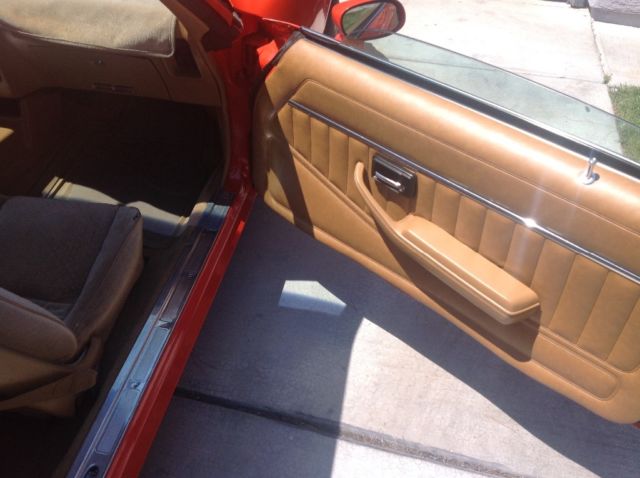 1980 Pontiac Firebird - photo 9