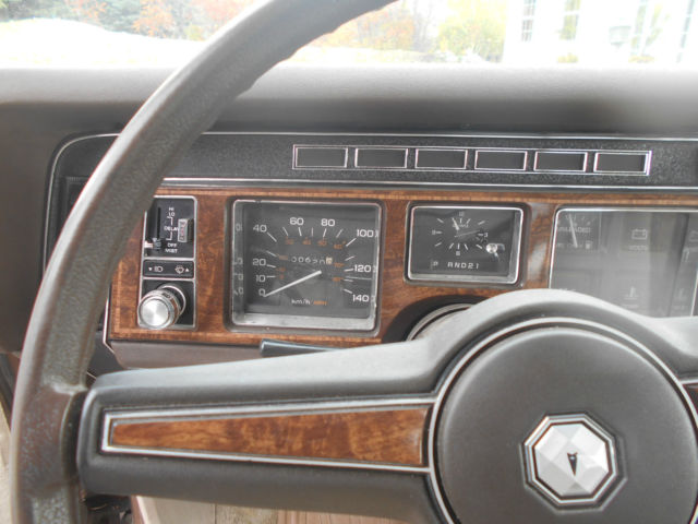1980 Pontiac Parisienne - photo 8
