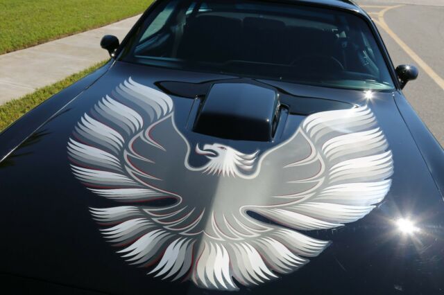 1980 Pontiac Trans Am 400 - photo 11