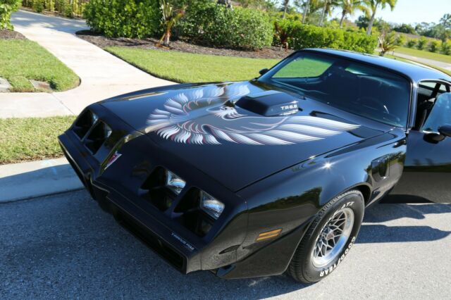 1980 Pontiac Trans Am 400 - photo 9