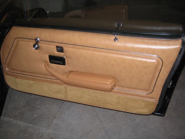 1980 Pontiac Trans Am - photo 11