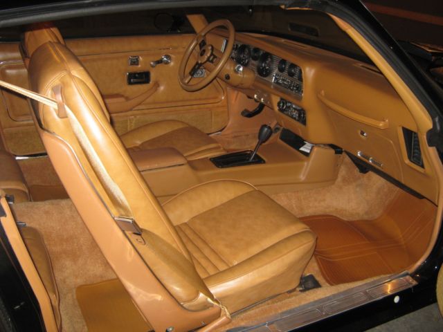 1980 Pontiac Trans Am - photo 12