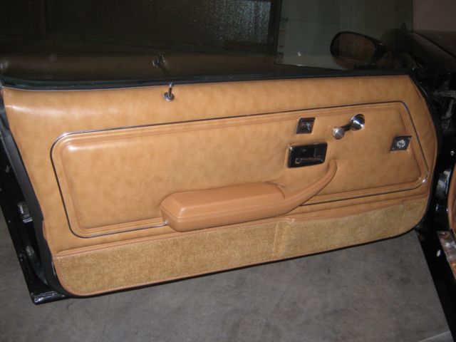 1980 Pontiac Trans Am - photo 13