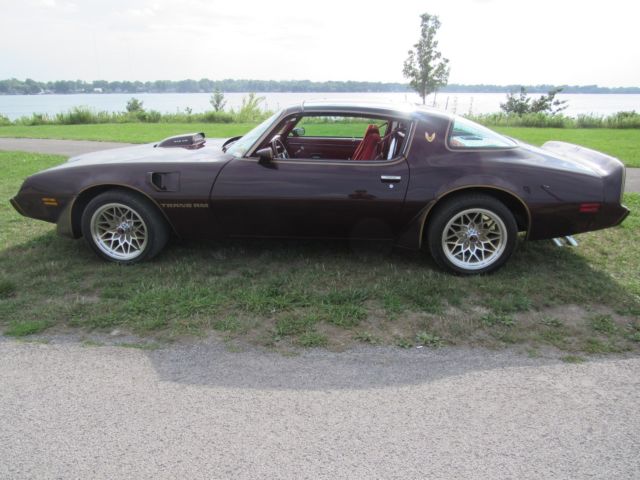 1980 Pontiac Trans Am Trans am