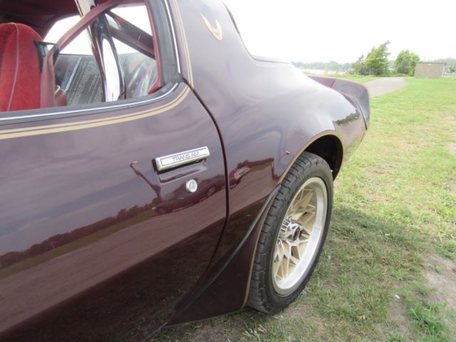 1980 Pontiac Trans Am Trans am - photo 11