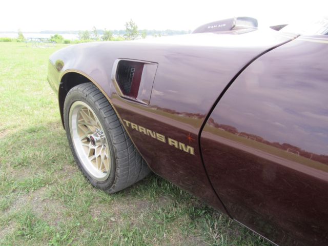 1980 Pontiac Trans Am Trans am - photo 12