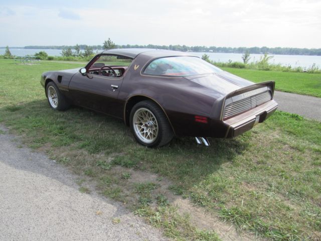 1980 Pontiac Trans Am Trans am - photo 2