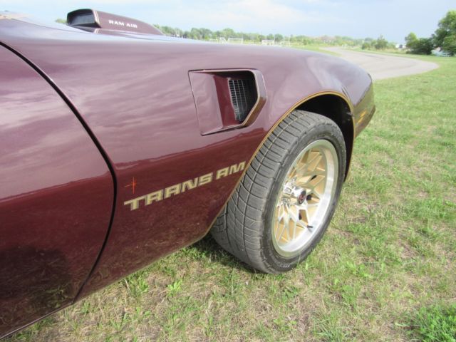 1980 Pontiac Trans Am Trans am - photo 8