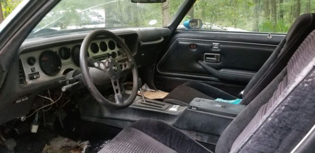 1980 Pontiac Trans Am - photo 10