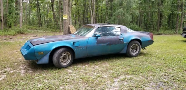 1980 Pontiac Trans Am - photo 2