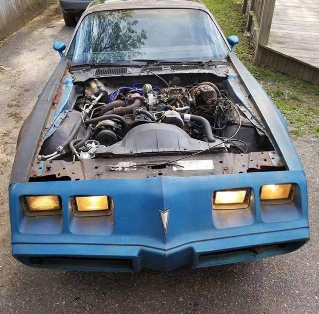 1980 Pontiac Trans Am - photo 4