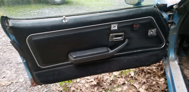 1980 Pontiac Trans Am - photo 6