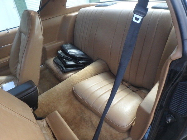 1980 Pontiac Trans Am Firebird - photo 11