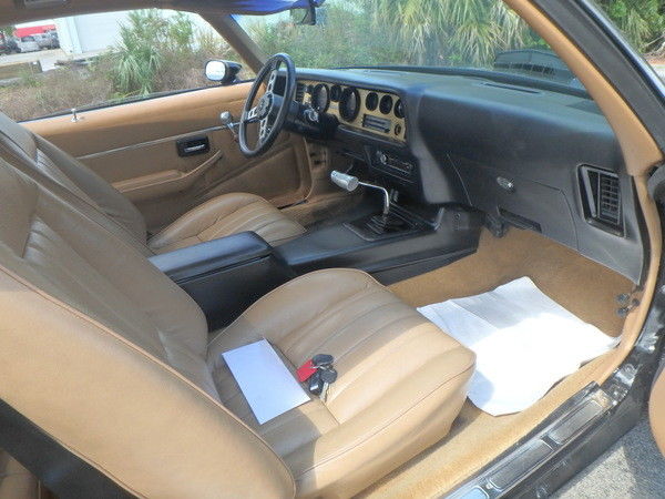 1980 Pontiac Trans Am Firebird - photo 13