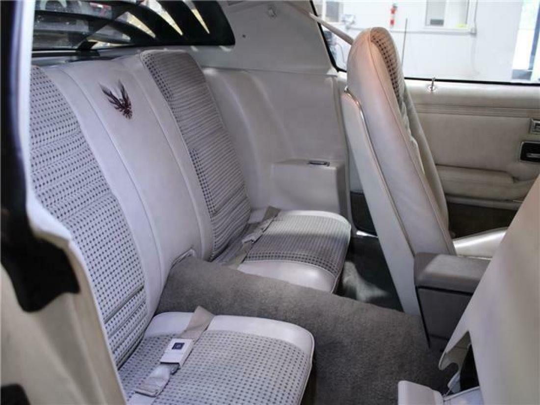 1980 Pontiac Trans Am - photo 13
