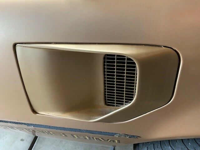 1980 Pontiac Trans Am Trans-Am Ws6 - photo 8
