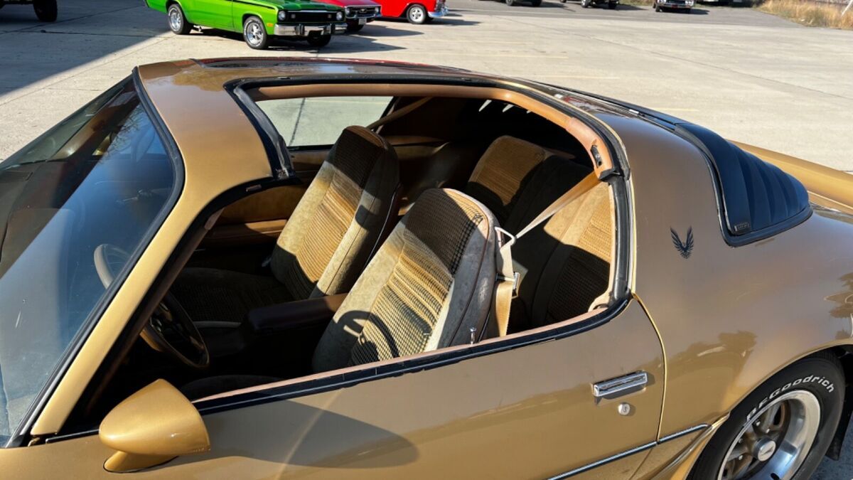 1980 Pontiac Trans Am - photo 10