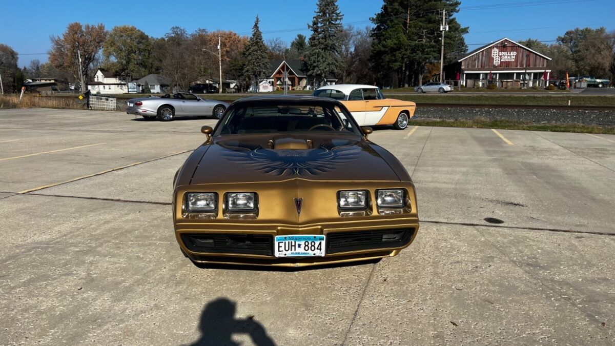 1980 Pontiac Trans Am - photo 11