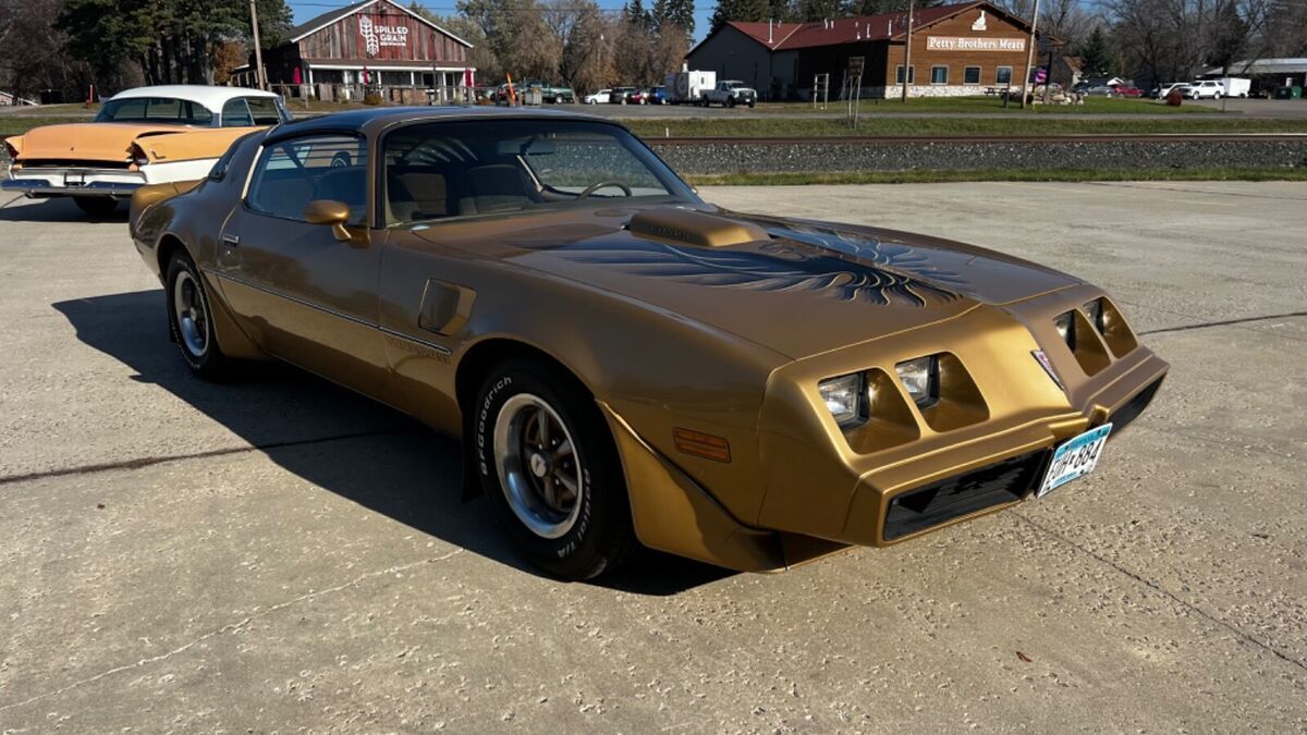 1980 Pontiac Trans Am - photo 12