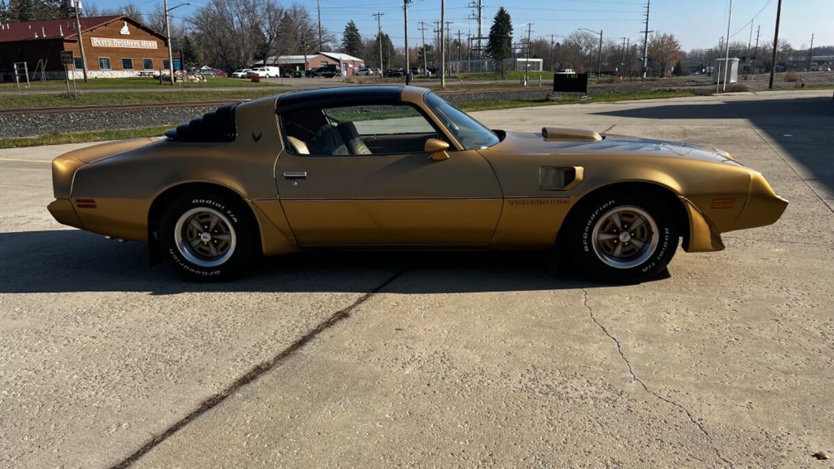 1980 Pontiac Trans Am - photo 13