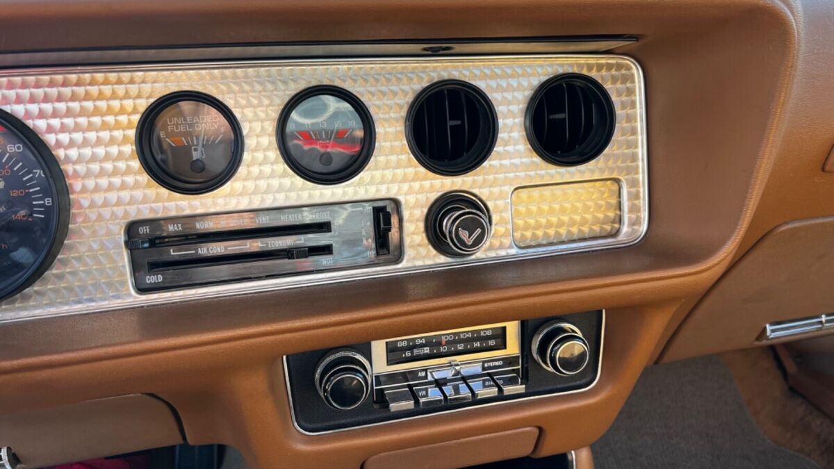 1980 Pontiac Trans Am - photo 4