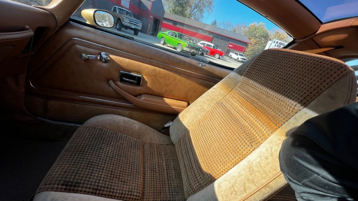 1980 Pontiac Trans Am - photo 5