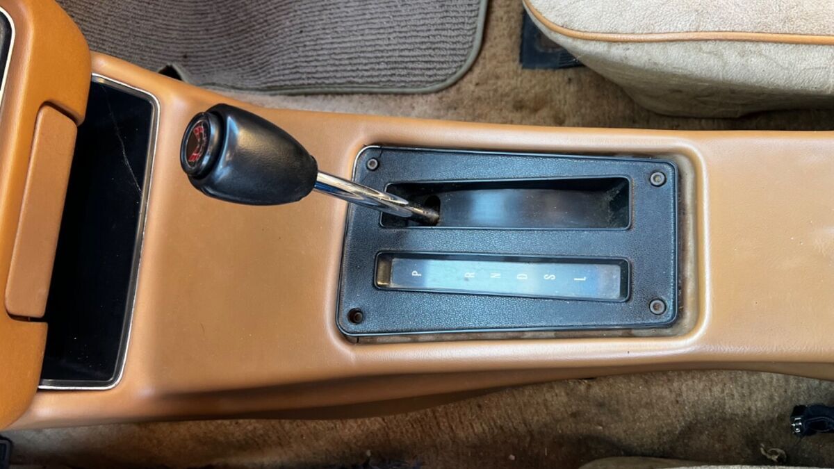 1980 Pontiac Trans Am - photo 6