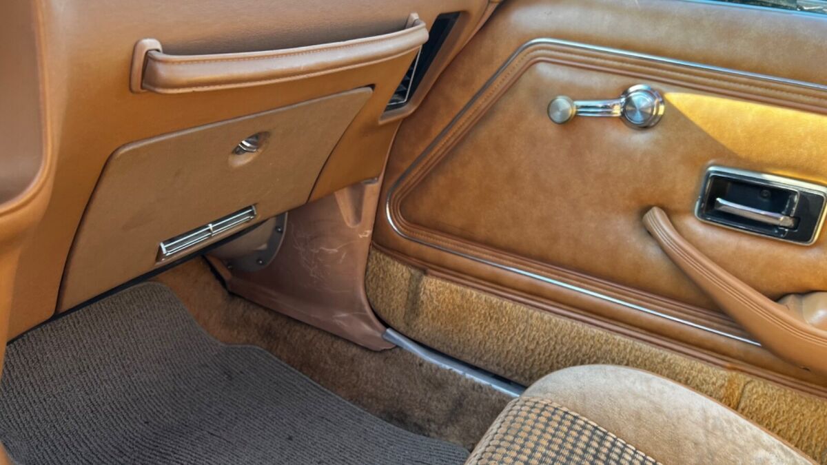 1980 Pontiac Trans Am - photo 7