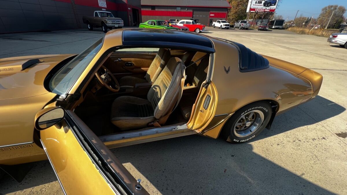 1980 Pontiac Trans Am - photo 8