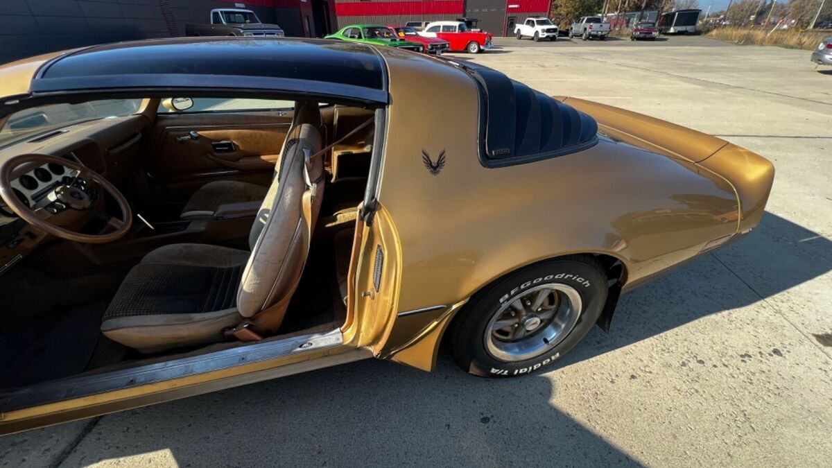 1980 Pontiac Trans Am - photo 9