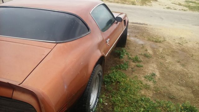 1980 Pontiac Trans Am - photo 5