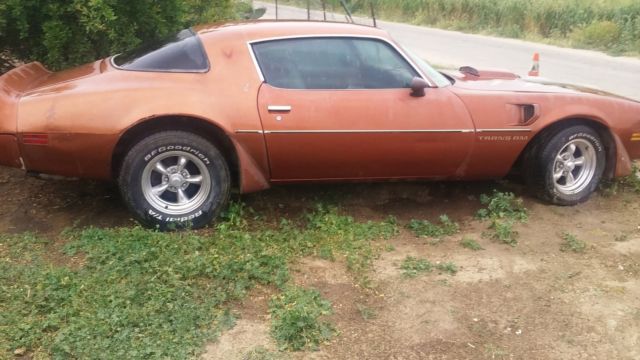 1980 Pontiac Trans Am - photo 6
