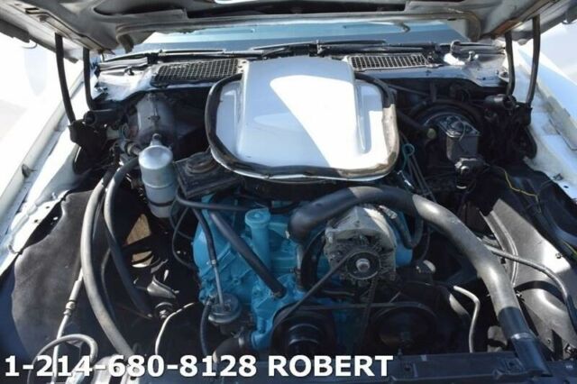 1980 Pontiac Trans Am -- - photo 11