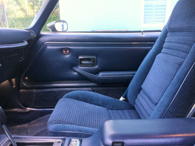 1980 Pontiac Firebird Trans Am - photo 13