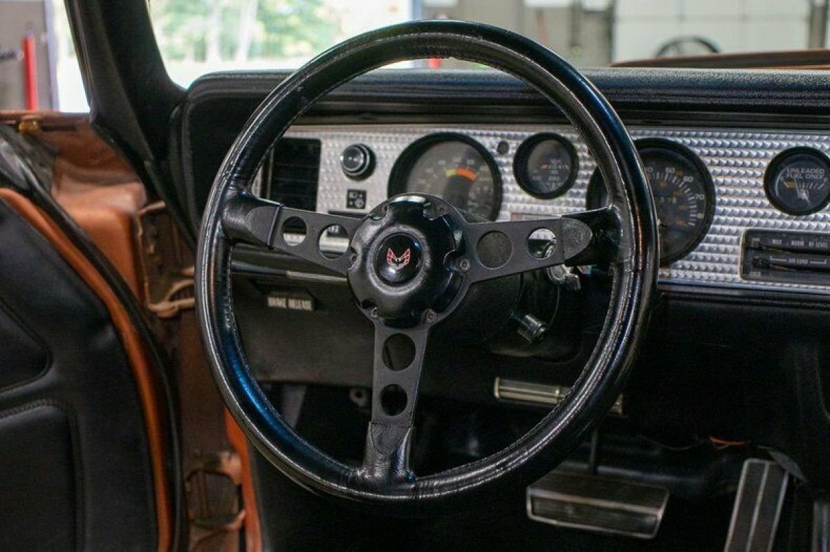 1980 Pontiac Trans Am - photo 12