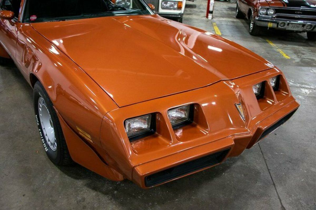 1980 Pontiac Trans Am - photo 9