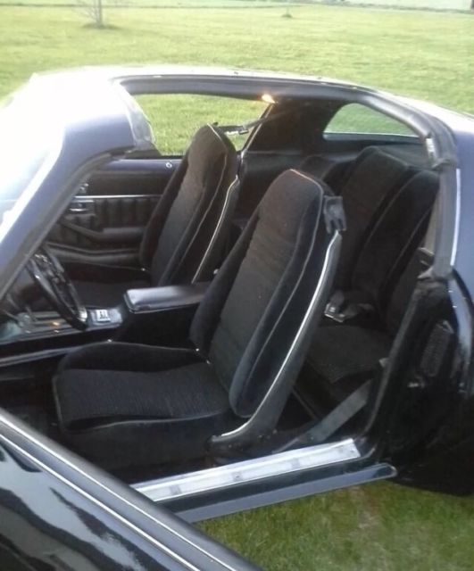 1980 Pontiac Trans Am - photo 3