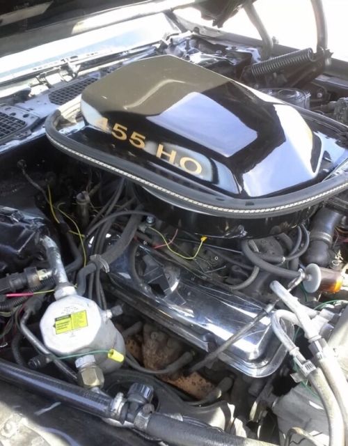 1980 Pontiac Trans Am - photo 4