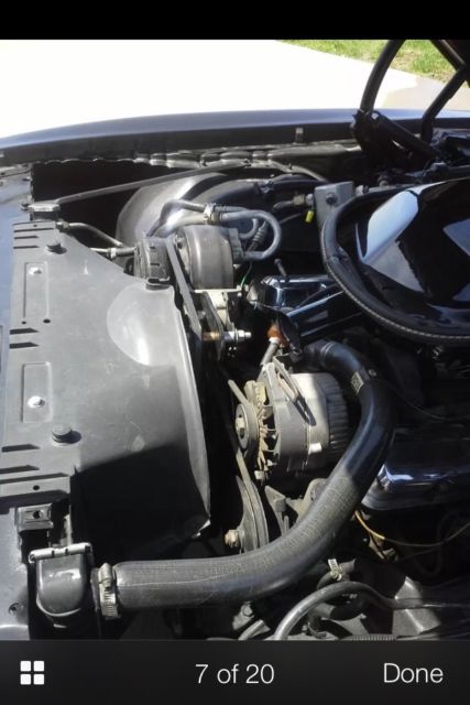 1980 Pontiac Trans Am - photo 5