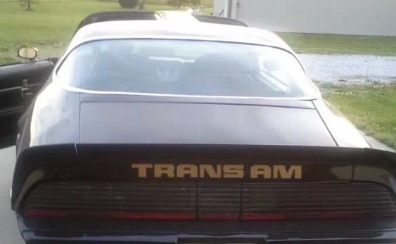 1980 Pontiac Trans Am - photo 7