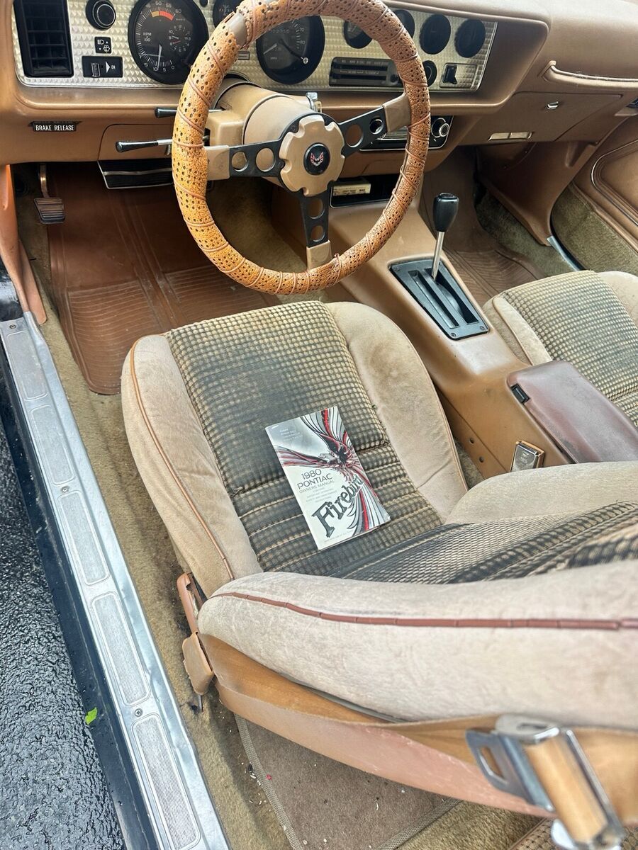 1980 Pontiac Trans Am WS6 - photo 11